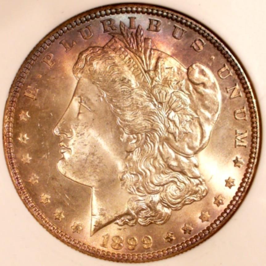 1899 Morgan dollar obverse — mint-state example